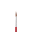 Picture of JUNIOR PAINTBRUSH ROUND